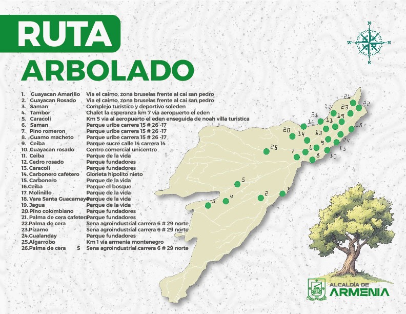 RUTA ARBOLADO